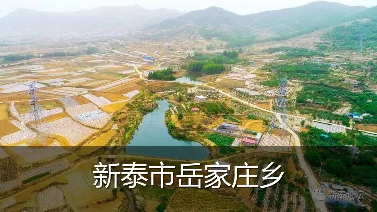 新泰市岳家庄乡