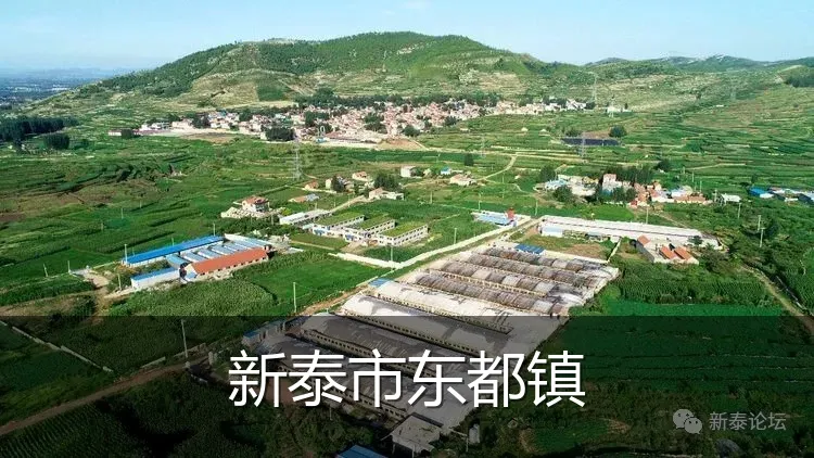 新泰市东都镇