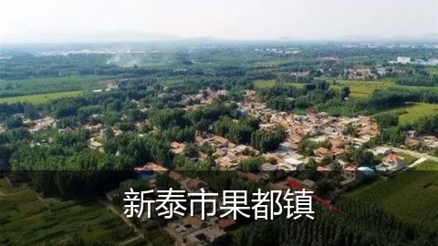新泰市果都镇