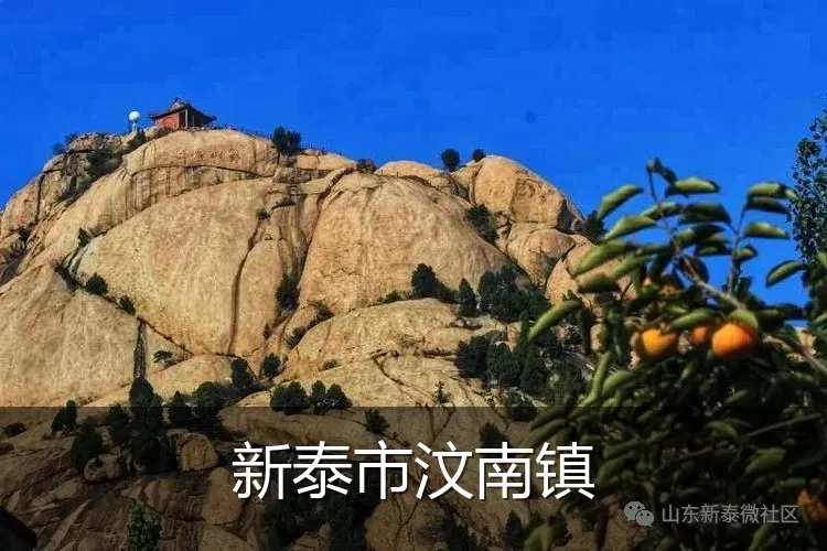 新泰市汶南镇