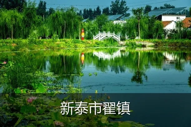 新泰市翟镇